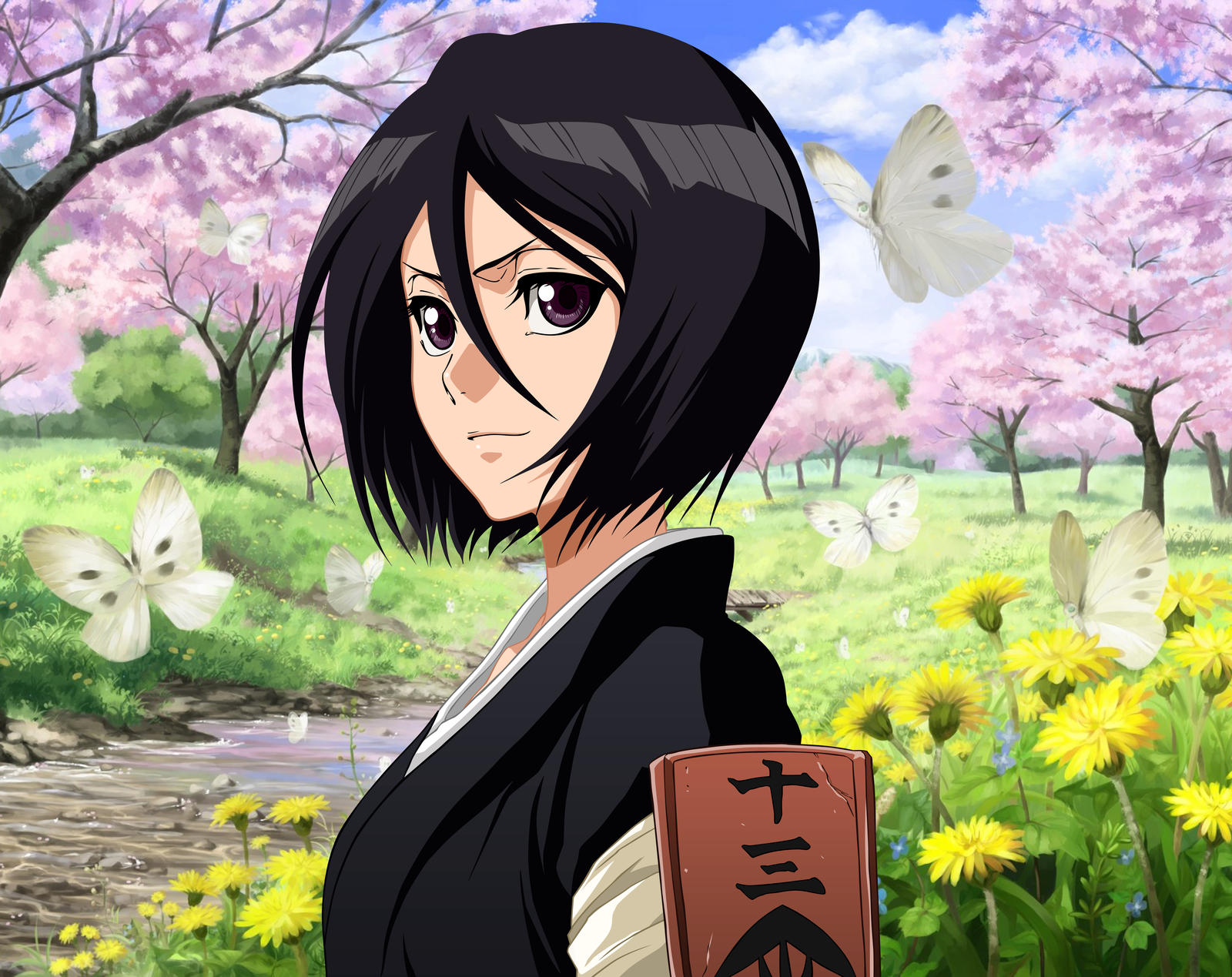 Character Rukia-kuchiki