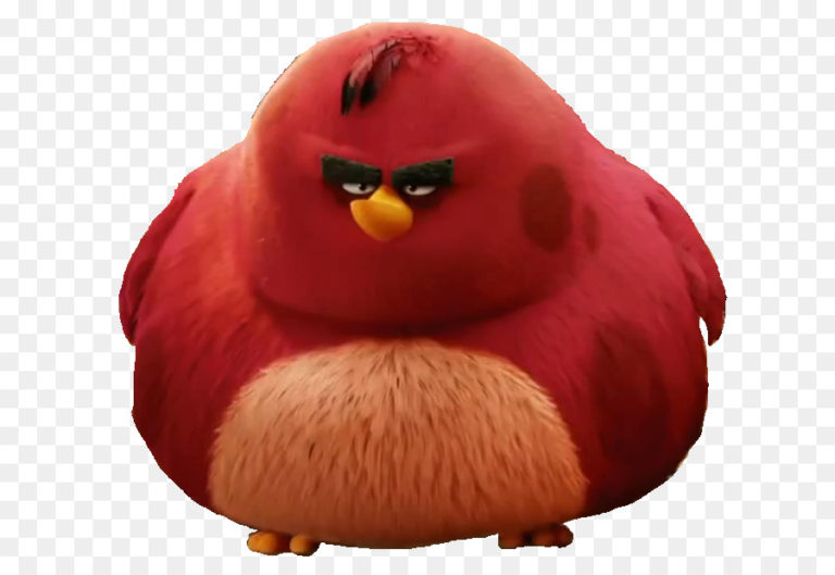 Кто ты из angry birds