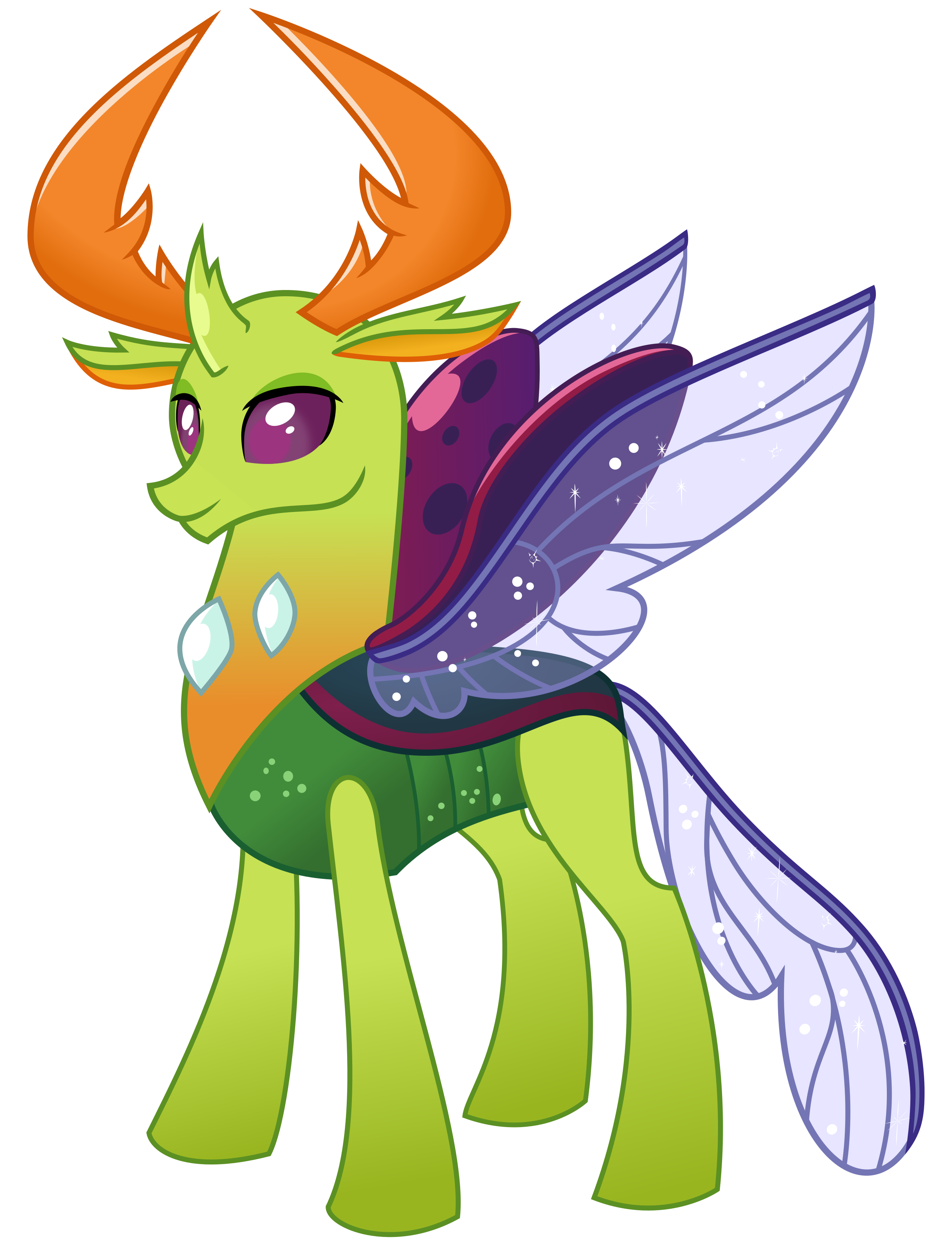 Thorax mlp