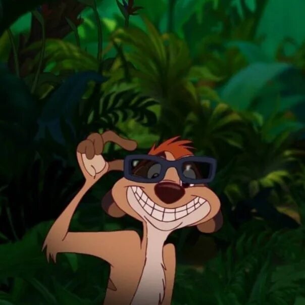 Тимон фото из мультика 